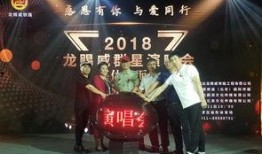 石家庄演唱会最新爆料,揭秘石家庄演唱会独家爆料，巨星阵容即将闪耀登场！